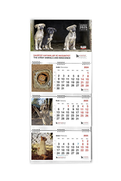 Haytap 2025 Duvar Takvimi 6'lı