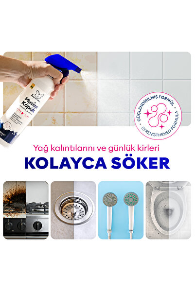 Papilion Mucize Köpük Yağ Sökücü Parlatıcı Yüzey Temizleyici 500ml