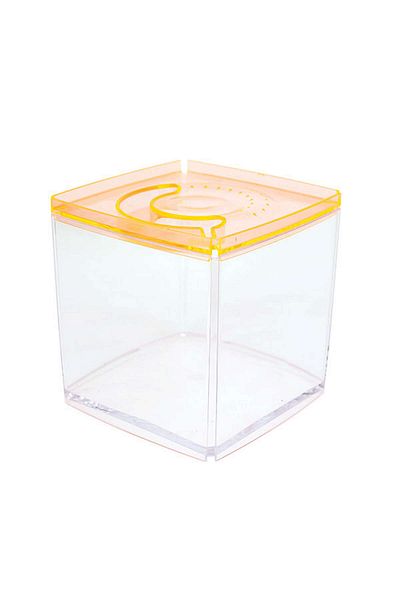 Ista Stylish Display Case - Square Tank - Orange Hnzrn