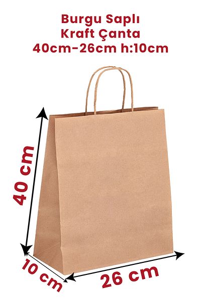 Balkan 10 Pieces Kraft Paper Shopping Bag with Twisted Handle - 26X10X40Cm (Carton)