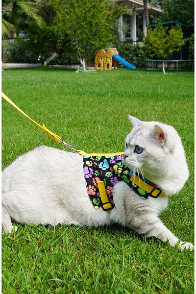 Patipatron Anti-Escape Cat Walking Leash and Small Breed Dog Walking Leash