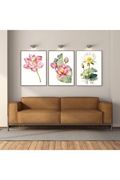 Hediye Vakti Suluboya Lotus Çiçeği 3'lü Japon Çiçek Çerçevesiz Poster 3646