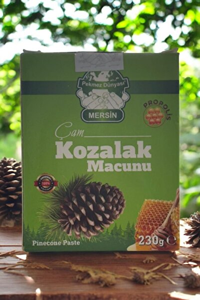 Pekmez Dünyası Andız Pekmezli ve Kestane Ballı Çam Kozalağı Macunu – 230 Gram, Doğal Enerji Kaynağı