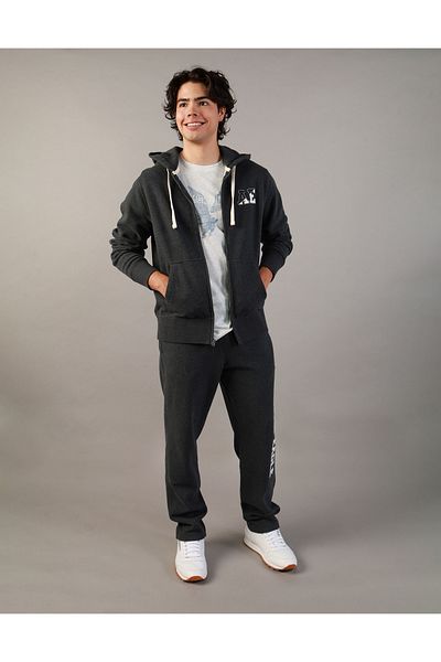 AMERICAN EAGLE Ae Graphic Heather Zip-Up Hoodie U 01961906