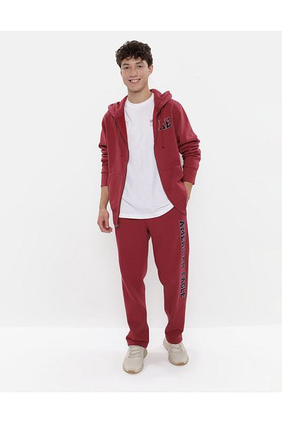 AMERICAN EAGLE AE Graphic Zip-Up Hoodie