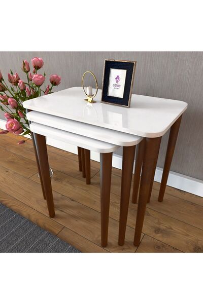 Canisa Concept Via Serisi Mdf 3 Lü Zigon Sehpa Takım-1.sınıf Mdf Lake Boya- R...