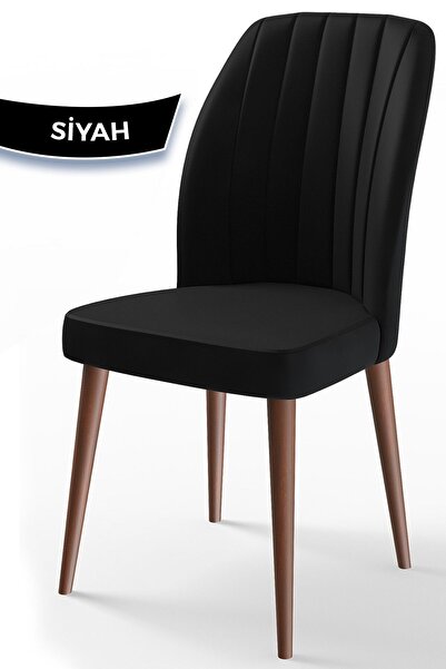 Canisa Etra Serisi, Gürgen Ayaklı 1.sınıf Sandalye, Siyah Sandalye, Ayaklar C...