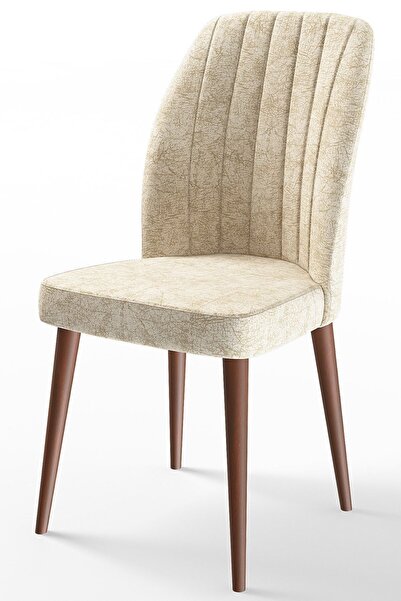 Canisa Concept Etra Serisi , 1.sınıf Sandalye , Krem Sandalye , Ceviz Gürgen ...