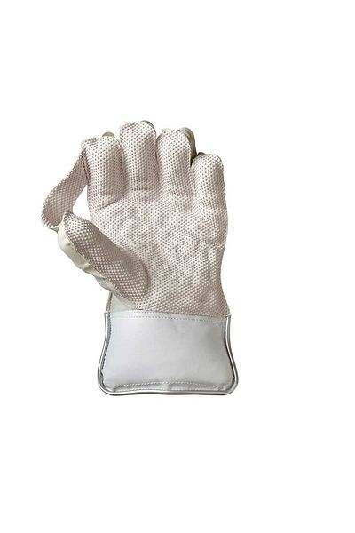 GM Cricket Wicket Keeping Gloves, Men's | Premium Protection & Comfort | Durable Gear