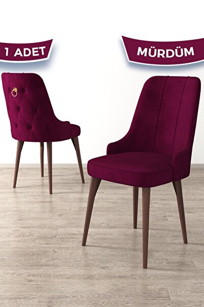 Canisa Enoa Serisi, 1.sınıf Babyface Ithal Kumaş , Mürdüm Sandalye Gold Halka...