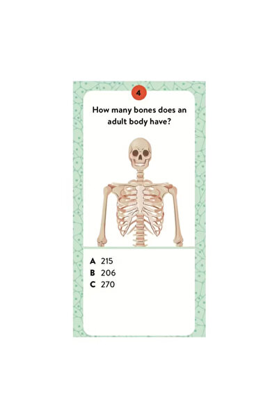 SASSI - The Ultimate Atlas - İnsan Vücudu