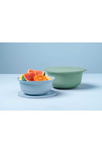 Tupperware Aloha Dough Grooming - Set of 2