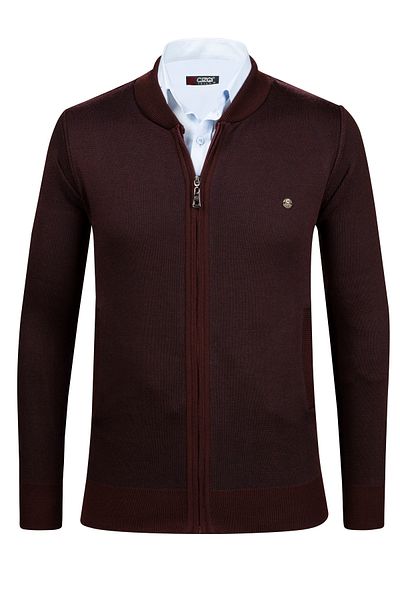 Çizgi Triko Çizgi Knitwear Ανδρικό Πλεκτό Μπουφάν Τσέπη με φερμουάρ Λεπτομερές σχέδιο Ατσάλινο πλεκτό με μανίκια και λάστιχο μέσης - 5015K