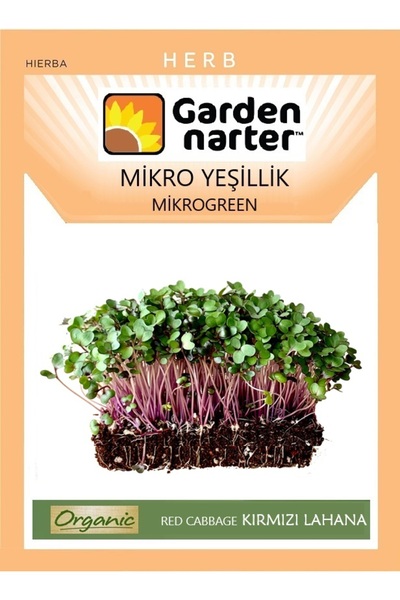 GARDEN NARTER Mikro Yeşillik Için Microgreen Organik Kırmızı Lahana Tohumu Mi...