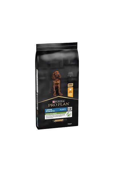 Pro Plan Duo Delice Adult Dog Food 10 Kg Prices and Styles Trendyol
