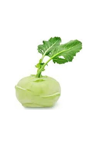 Köy Tohumları 150 Adet Tohum Nadir Organik Alabaş Yerli Organik Turp Tohumu S...