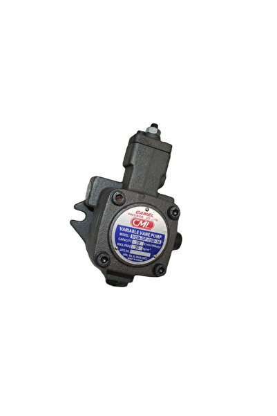 Cml Camel Değişken Debili Kanatlı Hidrolik Pompa VCM-SF-15B-10