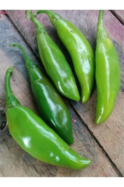 Köy Tohumları 30 Adet Tohum Nadir İthal Acı Balık Süs Biberi Tohumu Ata Köy T...