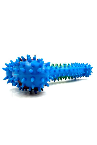 Tasma Market Blue Oblique Bone Model Tartar Cleaner Teether Dog Toy