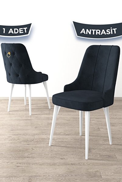 Canisa Enoa Serisi, Beyaz Gürgen Ayaklı, Gold Halkalı Antrasit Sandalye , 1.s...