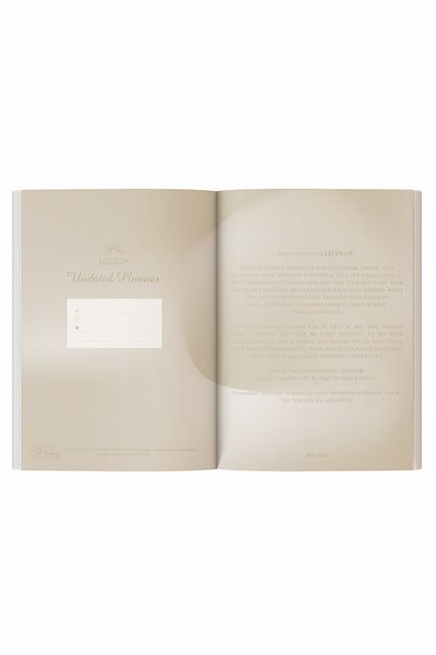 Le Color Dreams 17X24 - Metallic Timeless Planner