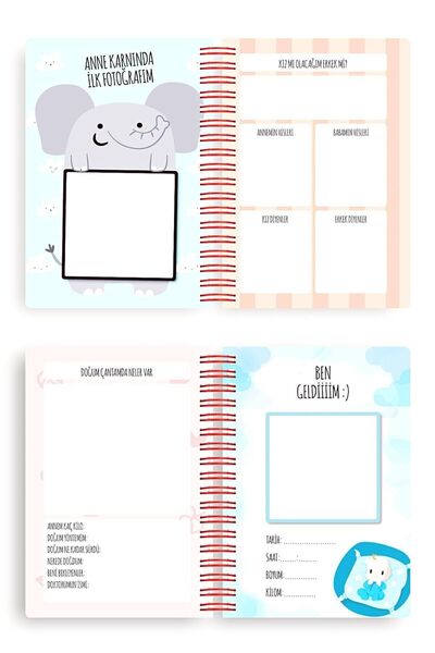 Le Color Bebek Anı Defteri ve Anne Hamile Albümü Mavi