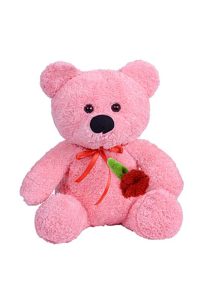Pandamkee 55 Cm Teddy Bear Holding a Rose in Her Hand