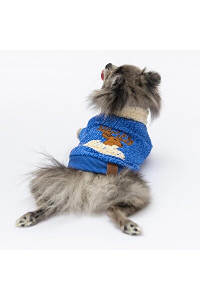 Pawstar Sax Mavi Alaska Kedi Köpek Sweat- Kedi Köpek Kıyafeti