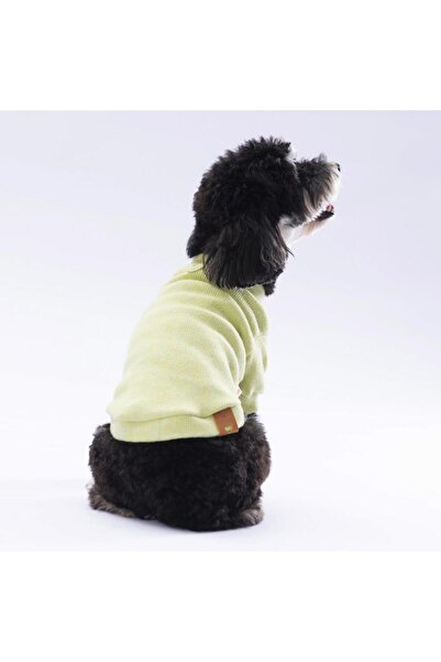 Pawstar Yellow Merino Cat Dog Sweat - Cat Dog Outfit