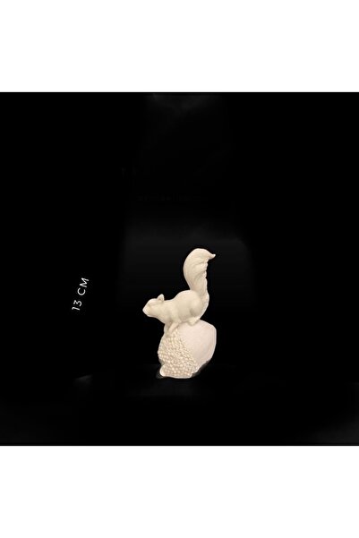 Emre Fındıklı sincap