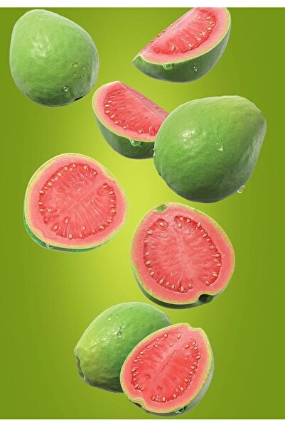 fidangetir GUAVA FİDANI