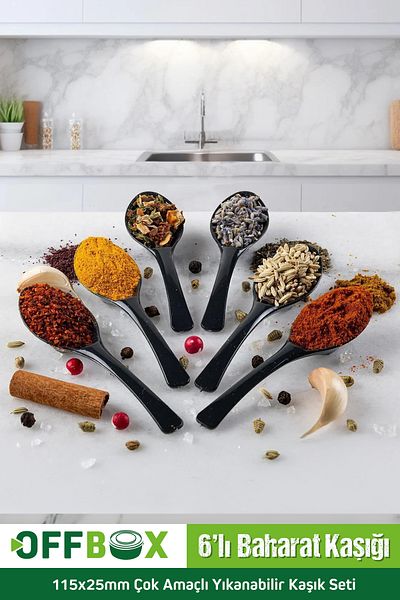 OFFBOX 6 Pieces Spice Spoon Breakfast Spice Spoon Spoon Set BK-06