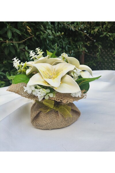 Butik 8 mart Kadınlar günü hediyesi Zarafetin ve asaletin simgesi beyaz zamba...