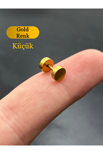 Karınca Piercing Rose Veya Gold Altın Rengi Çelik Kulak Küpesi Küçük Ince Tünel Piercing (karınca Tattoo)