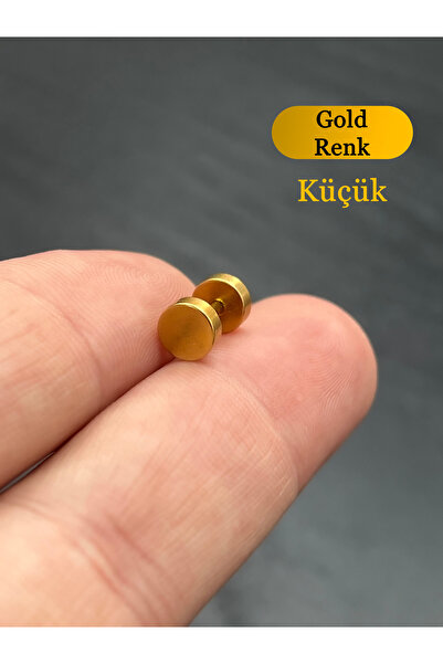 Karınca Piercing Rose Veya Gold Altın Rengi Çelik Kulak Küpesi Küçük Ince Tünel Piercing (karınca Tattoo)