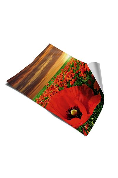 Bigaimaj Self Adhesive Foil Coating Weasel - Refrigerator and Dishwasher Cover