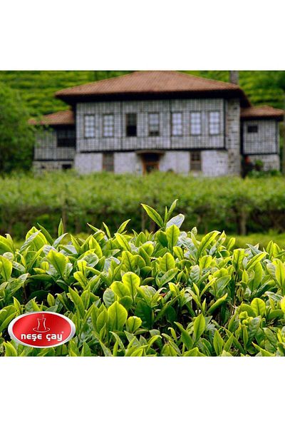 Neşe Çay 100 Gr Leaf Green Curved Tea