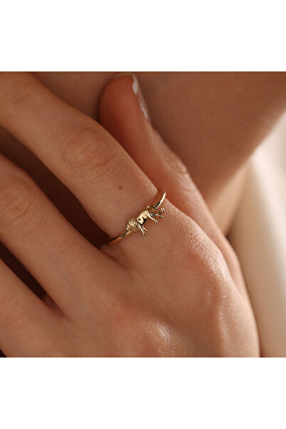 Sembol Gold 14 Ayar Altın Aslan Yüzük Burç Form