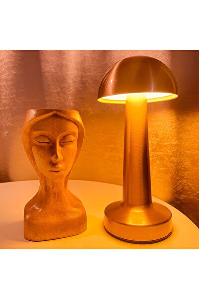 huzurlu grup Lotus Şarjlı Dekoratif Dokunmatik Masa Lambası 3 Renk Modlu