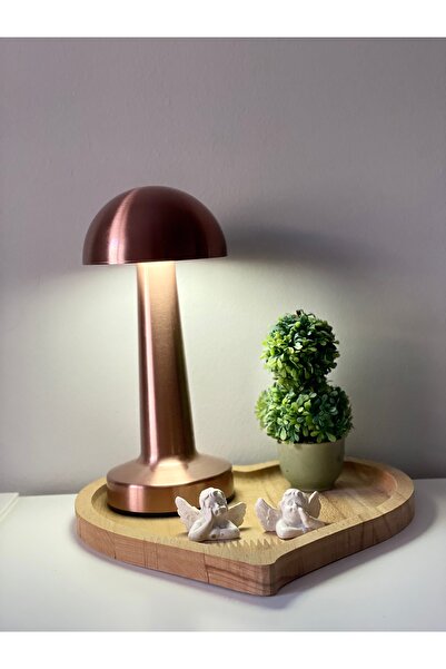 huzurlu grup Lotus Şarjlı Dekoratif Dokunmatik Masa Lambası 3 Renk Modlu