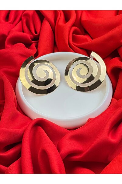 TRENDTAKI Helezon Şık Çelik Küpe 0043