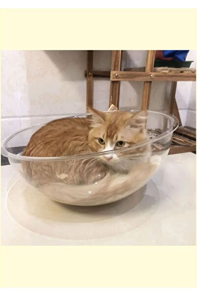 Pleksi Marketi PLEKSİ ŞEFFAF KÜRE KEDİ HAMAK