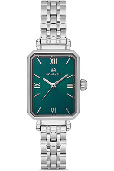 Momentus CS223S-15SS