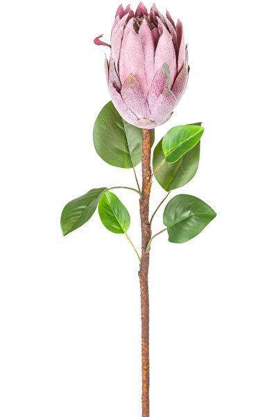 Herdekora Yapay Protea Bitkisi Mor 67 Cm.