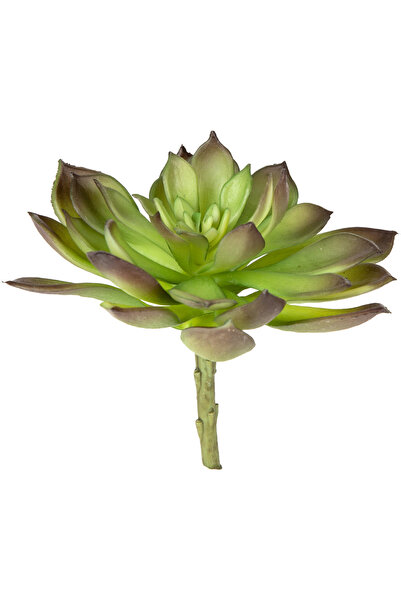 Herdekora Cactus artificial Eceverya suculent verde-maro 15 cm.