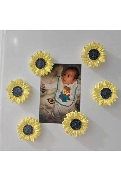 Genel Markalar 6 lı buzdolabı magnet ayçiçeği hediyelik Dekoratif Aksesuarlar