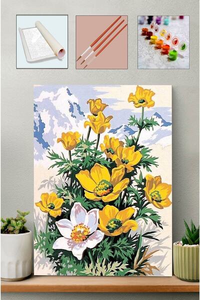 Carmen Sayılarla Boyama Seti - Çiçekler