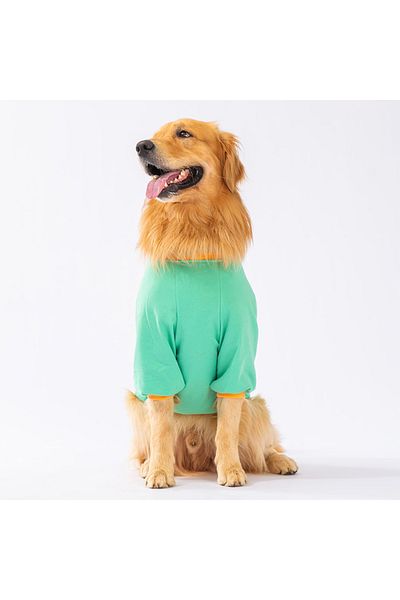 Pawstar Mint Bone Hunter Medium and Large Breed Dog Sweati Dog Outfit Dog Dress