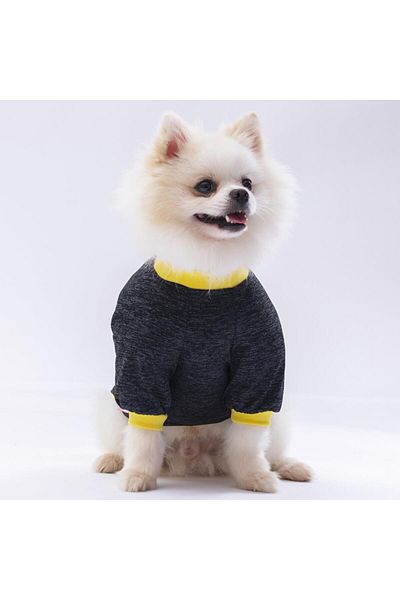 Pawstar Black Shine Cat Dog Sweatshirt - Cat Dog Outfit