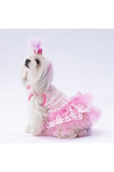 Pawstar Pink Flora Cat Dog Dress - Cat Dog Outfit